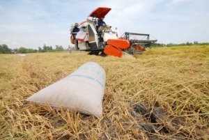 Cơ cấu lại ng&agrave;nh n&ocirc;ng nghiệp giai đoạn 2021-2025 