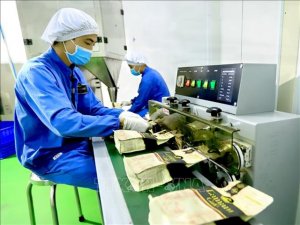 Dự b&aacute;o xuất khẩu c&agrave; ph&ecirc; sẽ c&ograve;n tăng