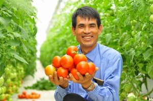 4 giải ph&aacute;p cho n&ocirc;ng nghiệp T&acirc;y Nguy&ecirc;n 