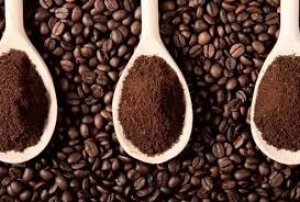 Cơn gió nào khiến giá cà phê hạ nhiệt?