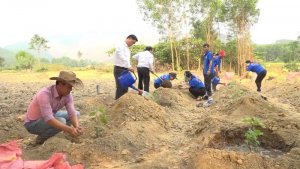 N&acirc;ng cao sức khoẻ đất để ng&agrave;nh trồng trọt ph&aacute;t triển bền vững