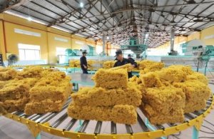Thị trường xuất khẩu cao su quý 1/2020