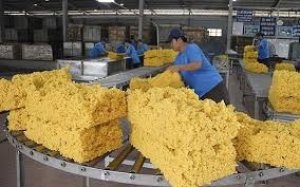 Kim ngạch xuất khẩu cao su 8 tháng năm 2021 tăng gần 60%