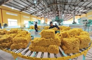 Năm 2018 xuất khẩu cao su năm 2018: lượng tăng, kim ngạch giảm