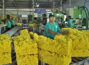 Xuất khẩu cao su 5 th&aacute;ng đầu năm 2023 giảm cả lượng v&agrave; kim ngạch