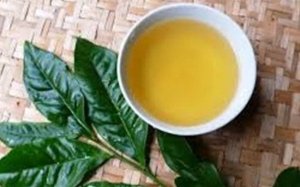 To&agrave;n cảnh thị trường ch&egrave; thế giới 2018 v&agrave; triển vọng 10 năm tới 