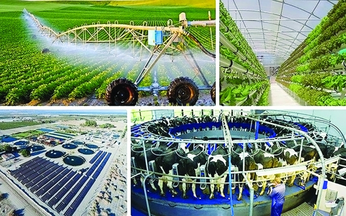 “Chìa khóa” để hiện thực hóa mục tiêu chuyển đổi xanh và phát triển bền vững
