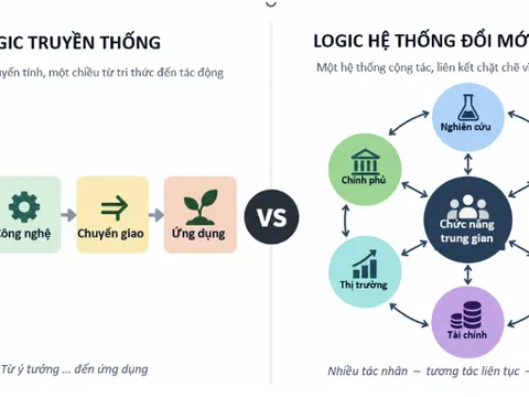 Chức năng trung gian ĐMST v&agrave; một số đề xuất trong lĩnh vực n&ocirc;ng nghiệp