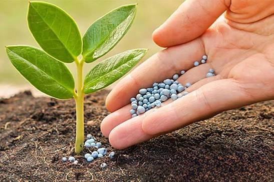 Cơ cấu thị trường xuất khẩu phân bón tiếp tục tập trung cao tại khu vực châu Á