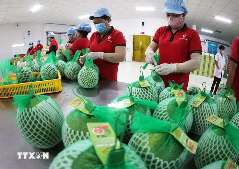 C&ocirc;ng nghệ bảo quản tăng sức cạnh tranh cho n&ocirc;ng sản Việt 