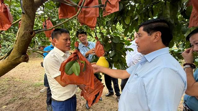 Ph&aacute;t triển kinh tế tập thể: Nền tảng x&acirc;y dựng nền n&ocirc;ng nghiệp hiện đại, bền vững