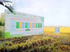 Nâng tầm vị thế nông sản vùng ĐBSCL trong hội nhập quốc tế: ĐBSCL với trọng trách an ninh lương thực và bảo vệ môi trường