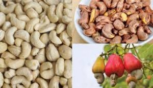 Nhập khẩu điều tăng đột biến, gi&aacute; điều trong nước lao dốc
