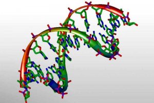 Kỹ thuật mới rọi ánh sáng vào chuỗi xoắn DNA