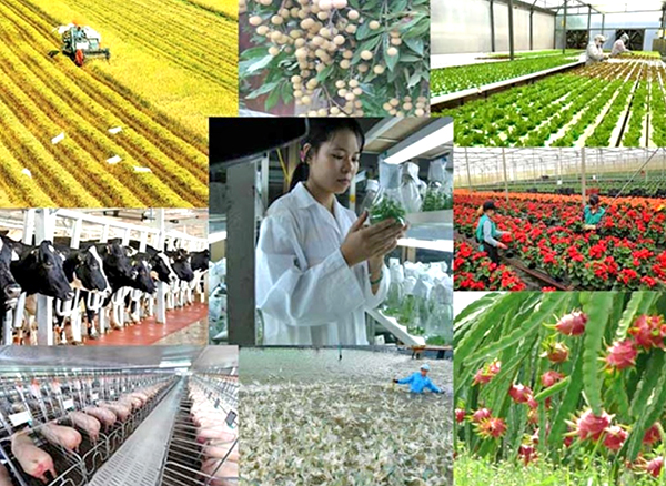 Đổi mới s&aacute;ng tạo để th&iacute;ch ứng v&agrave; gi&agrave;u, mạnh
