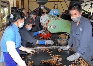 Thách thức của ngành điều: khi bạn hàng thành đối thủ