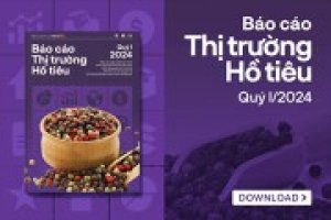 Thị trường hồ tiêu quý I/2024: Giá tiêu tăng mạnh do nguồn cung sụt giảm
