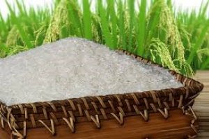 Xuất khẩu gạo vẫn trầm lắng do thiếu nhu cầu ti&ecirc;u thụ mới