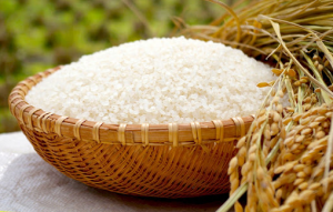 Thị trường l&uacute;a gạo h&ocirc;m nay 20/6: Gạo nguy&ecirc;n liệu ổn định