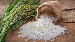 Thị trường l&uacute;a gạo ng&agrave;y 25/11: Gi&aacute; ổn định