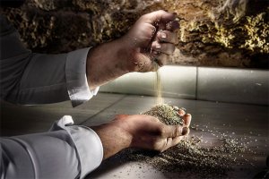 Bất ngờ với nguồn lương thực mới trong tương lai: Trồng cỏ biển lấy... gạo 