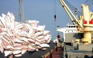 Kim ngạch xuất khẩu gạo tháng 1/2018 tăng 67% so với cùng kỳ