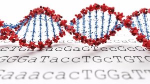 M&acirc;̣t mã học b&ocirc;̣ gen là cách mới đ&ecirc;̉ giữ an toàn cho dữ li&ecirc;̣u DNA của bạn