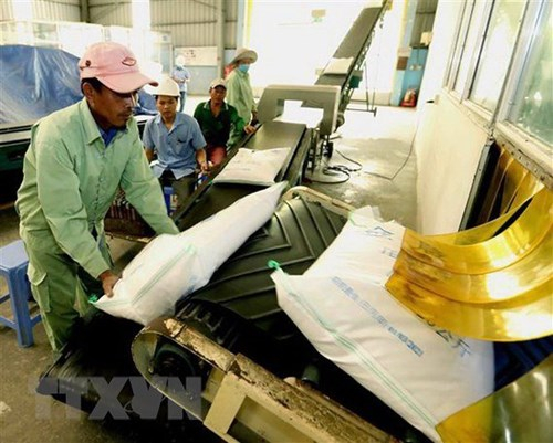 Giá gạo xuất khẩu tăng, thị trường lo ngại tác động của El Niño