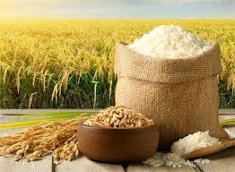 Gi&aacute; l&uacute;a gạo h&ocirc;m 1/12: Gi&aacute; gạo nh&iacute;ch nhẹ, đ&agrave; tăng liệu c&oacute; k&eacute;o d&agrave;i?