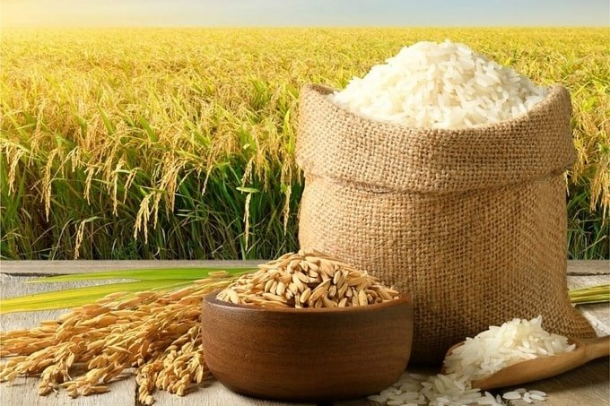 Gi&aacute; l&uacute;a gạo ng&agrave;y 18/6: Tiếp tục tăng nhẹ ng&agrave;y thứ 2 li&ecirc;n tiếp
