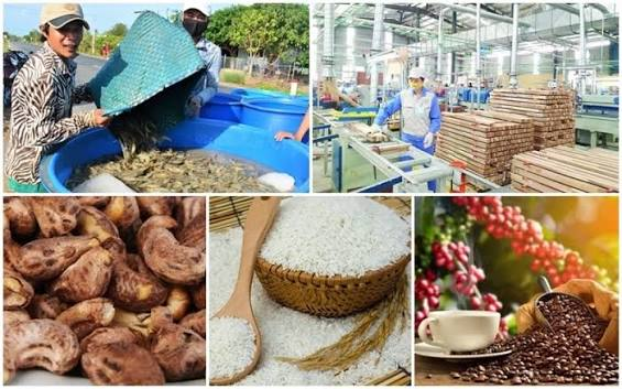 Giá nông sản thế giới đồng loạt tăng
