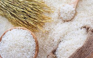 Gi&aacute; l&uacute;a gạo h&ocirc;m nay 9/1: Gi&aacute; l&uacute;a Thu Đ&ocirc;ng tăng 300 &ndash; 400 đồng/kg