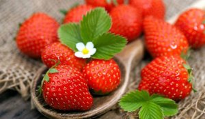 D&acirc;u t&acirc;y sẽ trở n&ecirc;n đắt đỏ hơn trong bối cảnh n&oacute;ng l&ecirc;n to&agrave;n cầu