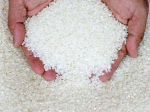 Nghi&ecirc;n cứu sản xuất tinh bột trơ từ gạo tấm l&agrave;m nguy&ecirc;n liệu cho chế biến thực phẩm