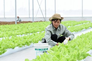 Thủ tướng: Đ&atilde; c&oacute; lời giải cho b&agrave;i to&aacute;n n&ocirc;ng nghiệp Việt Nam