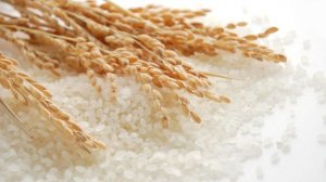 Thị trường lúa gạo tháng 6 và 6 tháng đầu năm 2018