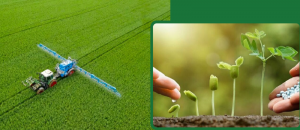Ng&agrave;nh ph&acirc;n b&oacute;n hướng tới n&ocirc;ng nghiệp xanh, phấn đấu tỷ trọng ph&acirc;n b&oacute;n hữu cơ chiếm 50%