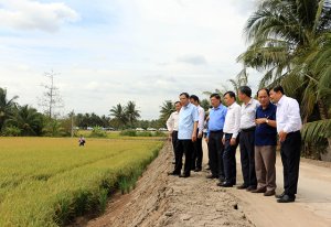 ĐBSCL: Hạn, mặn v&agrave; những giải ph&aacute;p