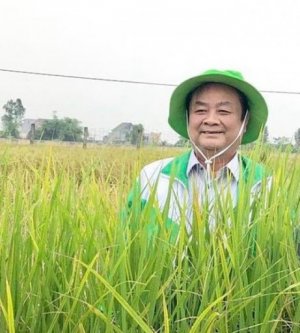 Tản mạn ng&agrave;y xu&acirc;n tr&ecirc;n ruộng đồng