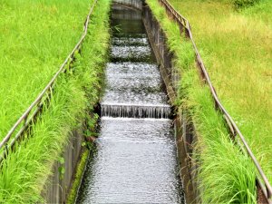 Nghiên cứu mới về tác động của công tác tưới tiêu trên toàn thế giới