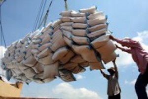 Gạo Việt đang "đội sổ" về gi&aacute; b&aacute;n