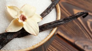 C&ocirc;ng nghệ enzyme tạo ra vanillin tự nhi&ecirc;n từ thực vật chỉ trong một bước