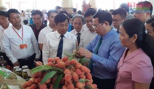 Nâng cao năng lực dự báo xuất khẩu nông sản: Giải pháp nào?