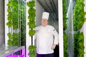 “Nông dân kiểu mới” có thể trồng được 4 tấn nông sản/năm mà không cần ánh sáng mặt trời