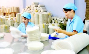 N&ocirc;ng nghiệp TPHCM ph&aacute;t triển theo m&ocirc; h&igrave;nh n&agrave;o? - Ưu ti&ecirc;n ph&aacute;t triển kinh tế tập thể
