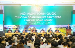 Thực trạng ứng dụng khoa học và công nghệ, công nghệ cao trong doanh nghiệp nông nghiệp; đánh giá chính sách và giải pháp hỗ trợ doanh nghiệp ứng dụng khoa học và công nghệ trong nông nghiệp