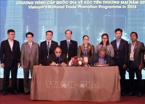 Khai mạc Hội nghị điều quốc tế Việt Nam lần thứ 12 