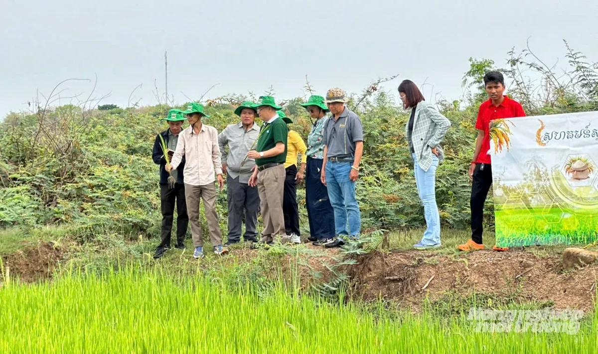 Hợp t&aacute;c IAS - Rithy Group: Hướng tới m&ocirc; h&igrave;nh n&ocirc;ng nghiệp xanh, bền vững 