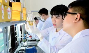 Những trắc trở của Nghị định 115