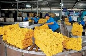 Thị trường xuất khẩu cao su 5 tháng đầu năm 2024